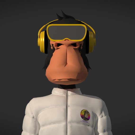 DJ Ape First European Concert Tile 4